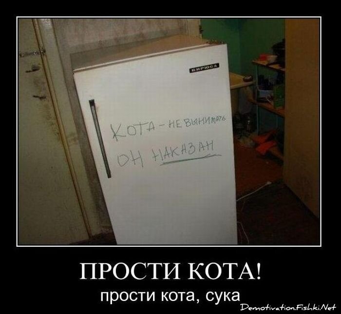 Смешной демотиватор от zubrilov за 19.01.2011 №65874