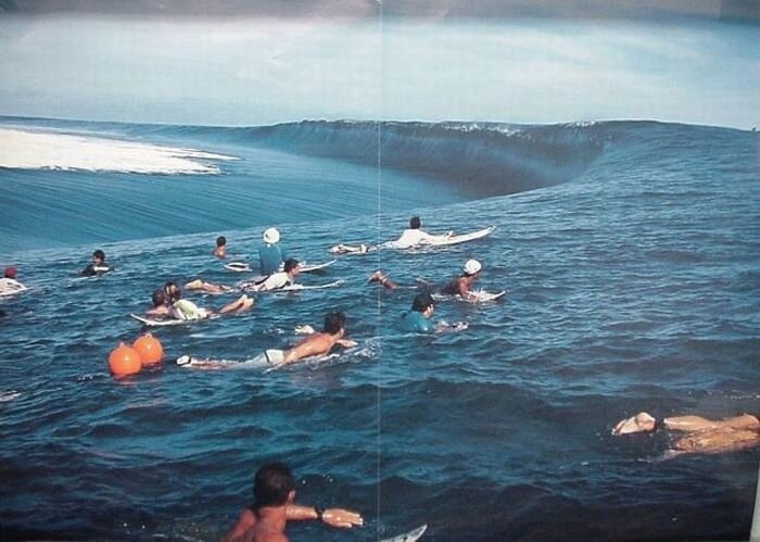 Прикольные фото и картинки от zubrilov за 20.01.2011 №65911