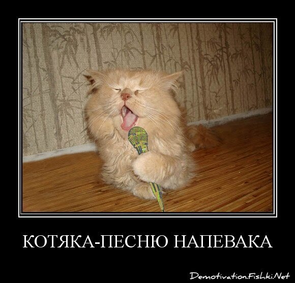 Котяка-песню напевака