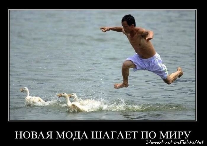 Смешной демотиватор от zubrilov за 26.01.2011 №66332