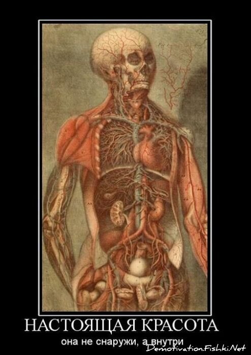 Демотиватор