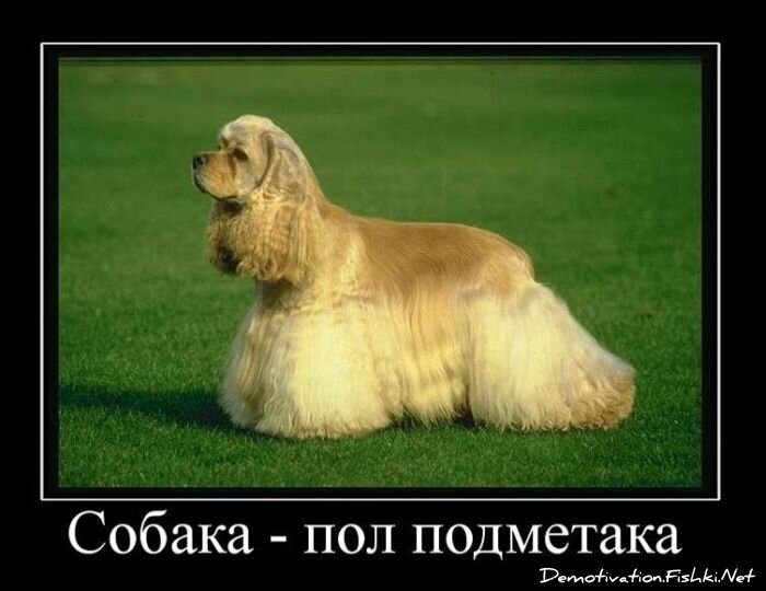 Смешной демотиватор от zubrilov за 26.01.2011 №66348