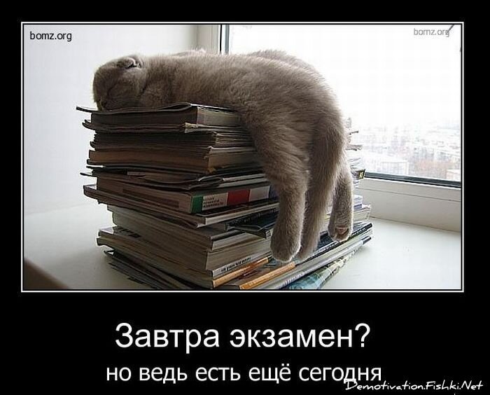 Демотиватор