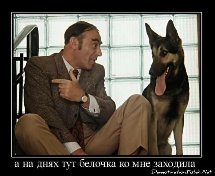 Демотиватор