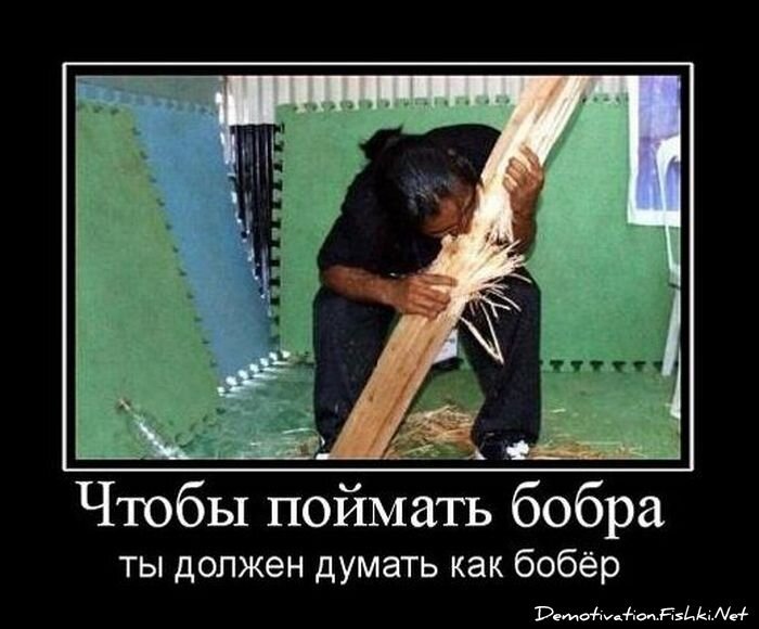 Смешной демотиватор от zubrilov за 26.01.2011 №66370