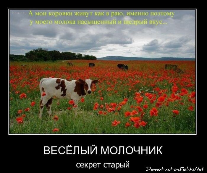 Смешной демотиватор от zubrilov за 26.01.2011 №66374