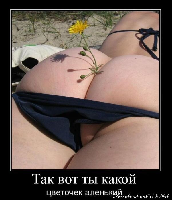 Смешной демотиватор от zubrilov за 26.01.2011 №66387