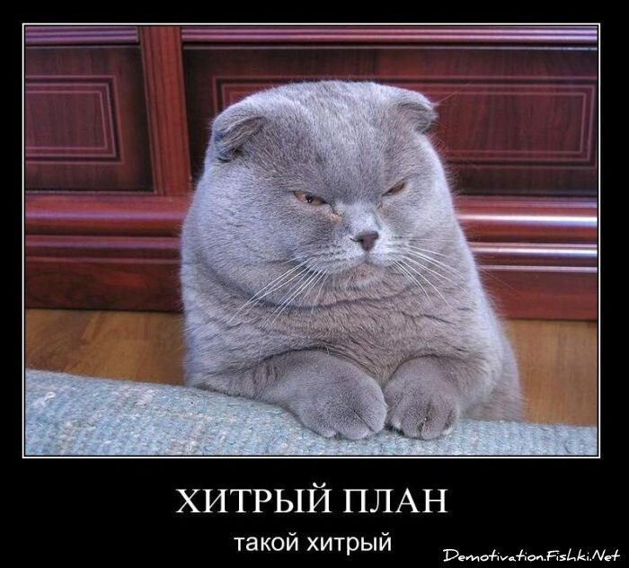 Смешной демотиватор от zubrilov за 26.01.2011 №66404
