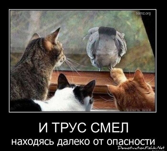 Смешной демотиватор от zubrilov за 26.01.2011 №66405