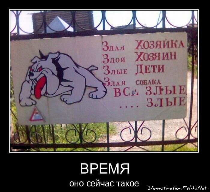 Демотиватор