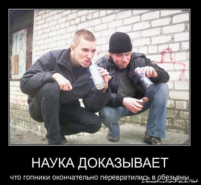 Демотиватор