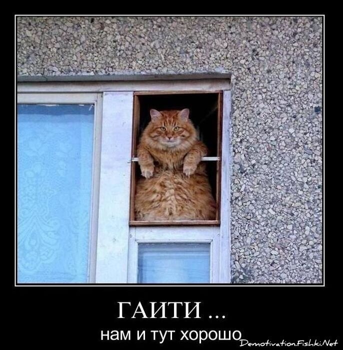 Демотиватор