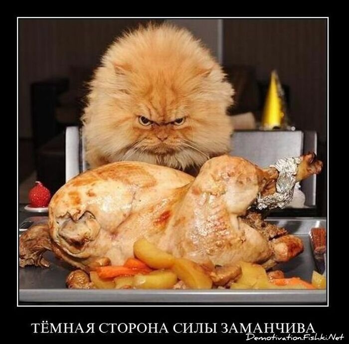 Смешной демотиватор от zubrilov за 26.01.2011 №66432