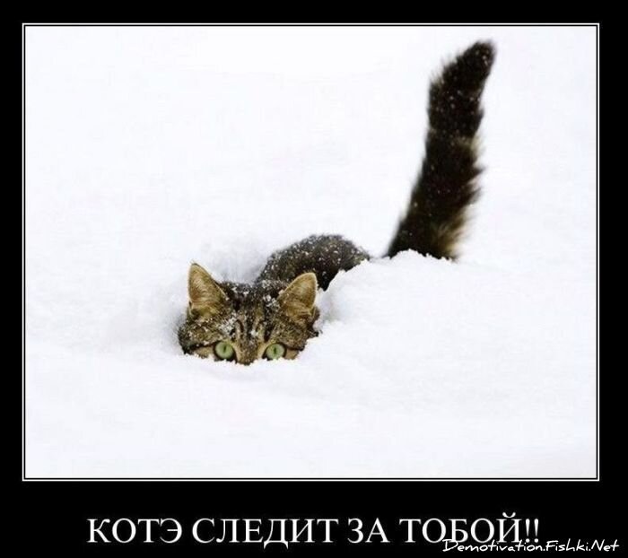 Смешной демотиватор от zubrilov за 28.01.2011 №66646