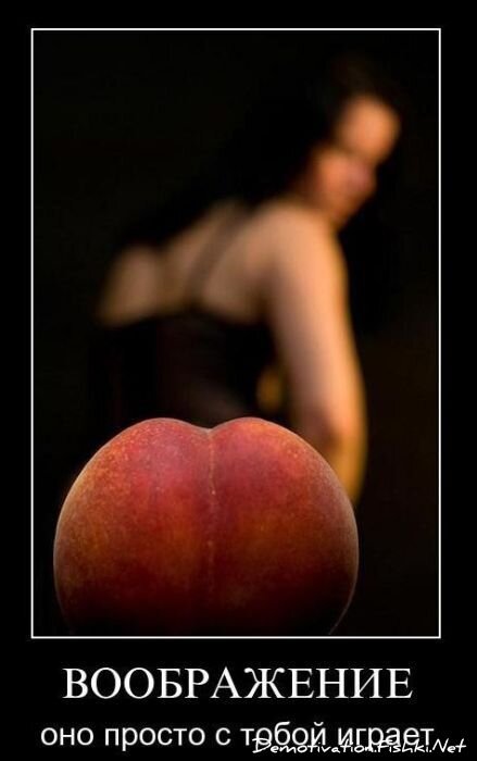 Смешной демотиватор от zubrilov за 28.01.2011 №66655