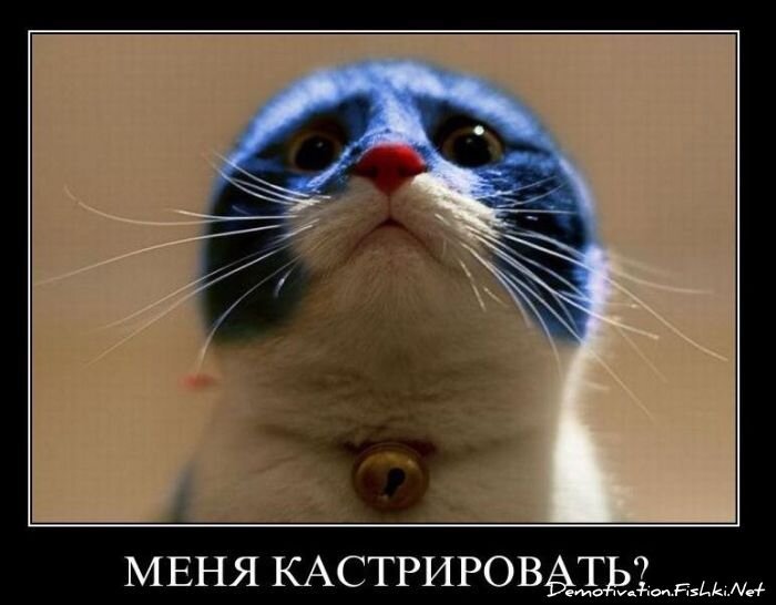 Смешной демотиватор от zubrilov за 28.01.2011 №66659