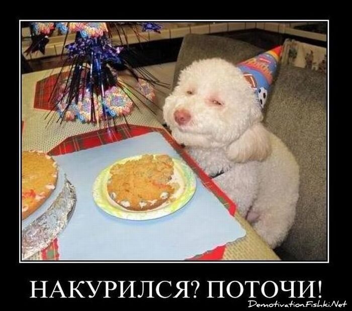 Смешной демотиватор от zubrilov за 28.01.2011 №66660