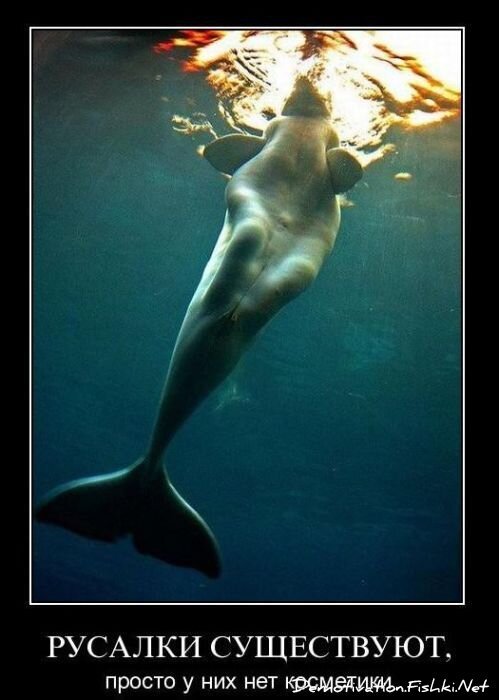 Смешной демотиватор от zubrilov за 28.01.2011 №66661