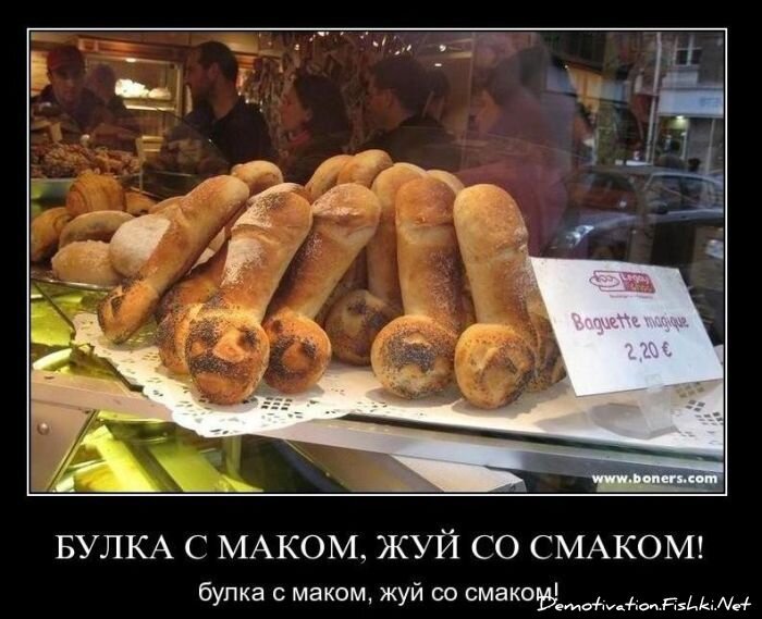 Смешной демотиватор от zubrilov за 28.01.2011 №66663