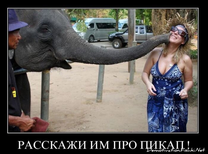 Смешной демотиватор от zubrilov за 28.01.2011 №66664