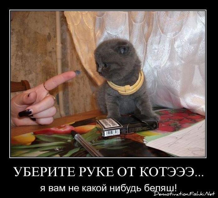 Смешной демотиватор от zubrilov за 28.01.2011 №66665