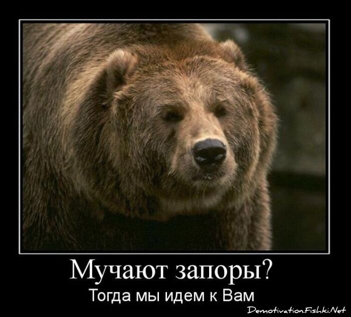 Смешной демотиватор от zubrilov за 28.01.2011 №66668