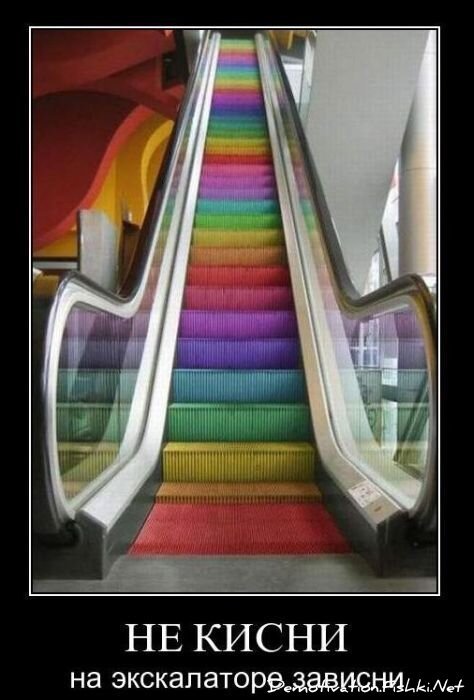 Смешной демотиватор от zubrilov за 28.01.2011 №66670