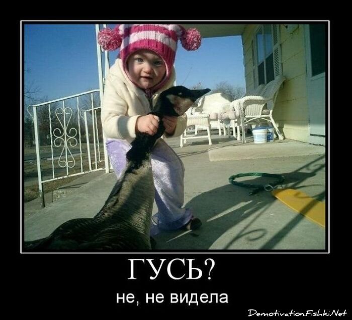 Смешной демотиватор от zubrilov за 28.01.2011 №66673