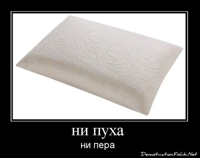 Смешной демотиватор от zubrilov за 28.01.2011 №66675