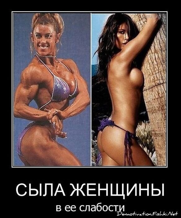 Смешной демотиватор от zubrilov за 28.01.2011 №66685