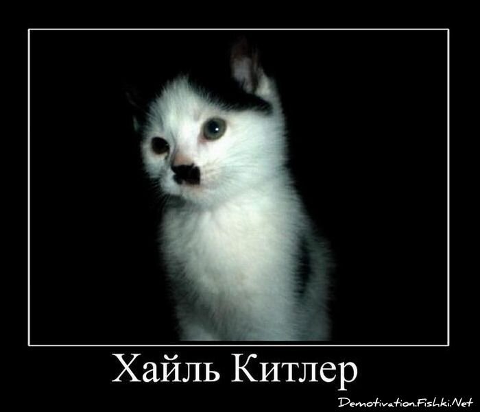 Смешной демотиватор от zubrilov за 28.01.2011 №66688