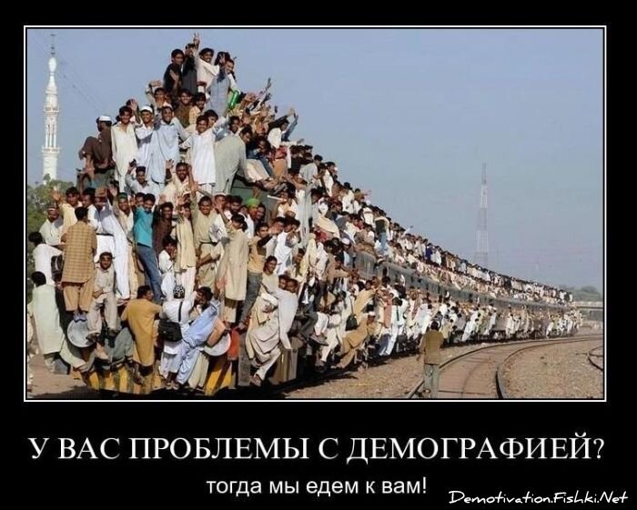 Смешной демотиватор от zubrilov за 28.01.2011 №66701