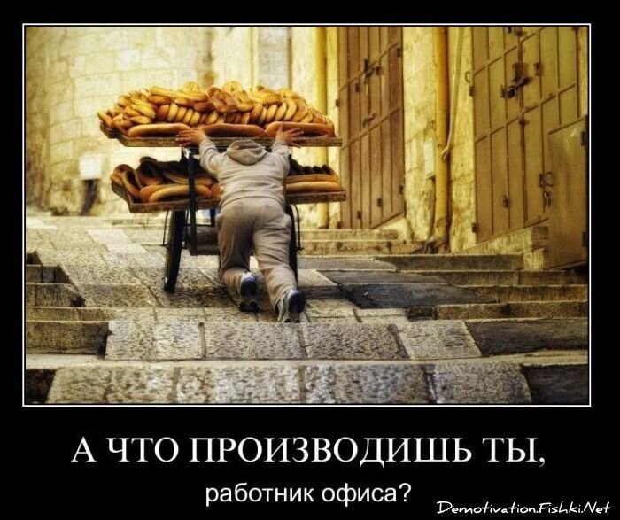 Смешной демотиватор от zubrilov за 28.01.2011 №66707