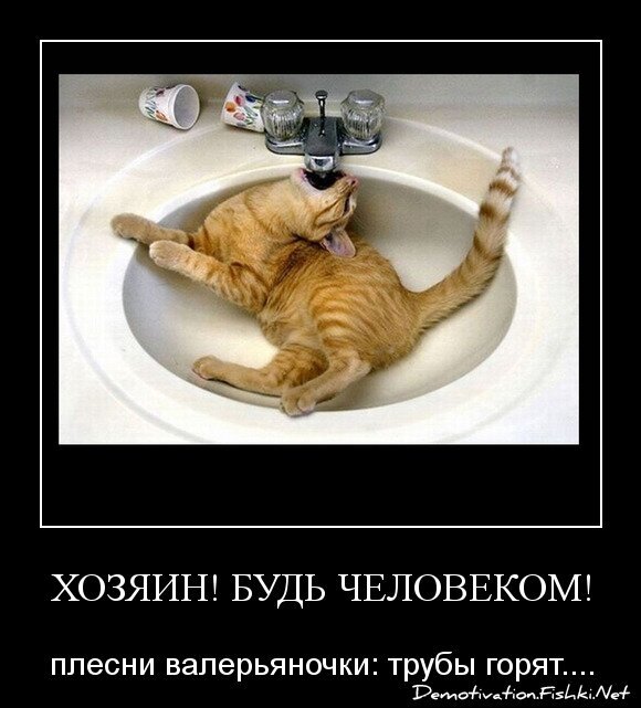 ХОЗЯИН! БУДЬ ЧЕЛОВЕКОМ!