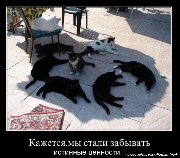 Смешной демотиватор от zubrilov за 02.02.2011 №67123