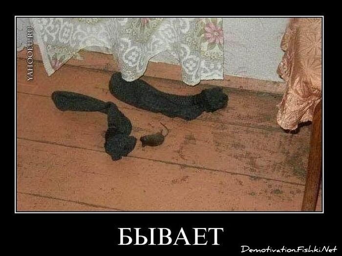 Смешной демотиватор от zubrilov за 02.02.2011 №67124