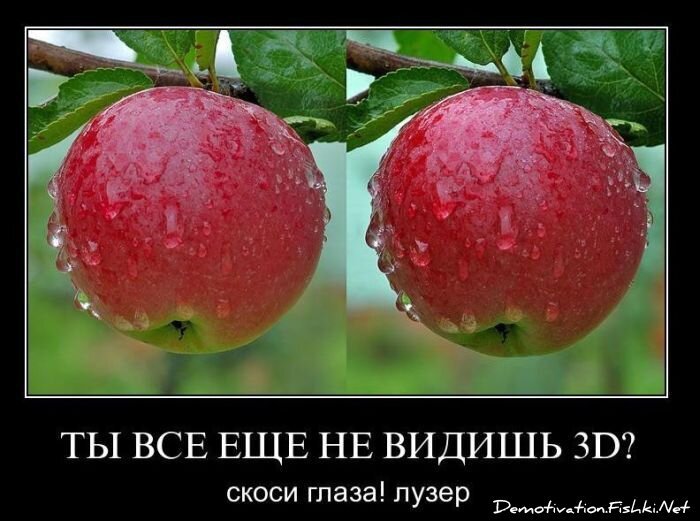 Смешной демотиватор от zubrilov за 02.02.2011 №67131