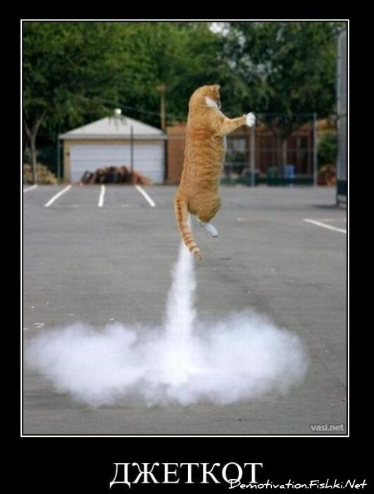 Смешной демотиватор от zubrilov за 02.02.2011 №67138
