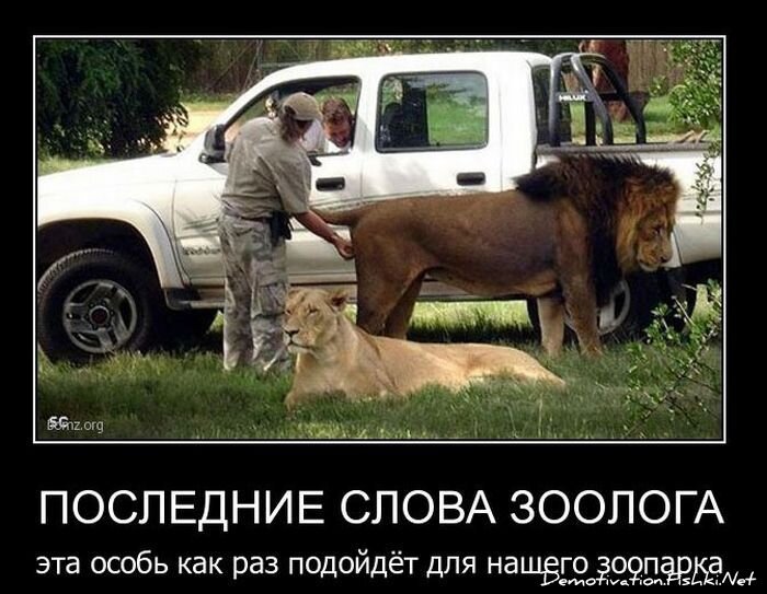 Смешной демотиватор от zubrilov за 02.02.2011 №67141