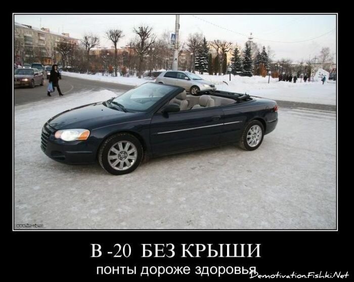 Смешной демотиватор от zubrilov за 02.02.2011 №67155