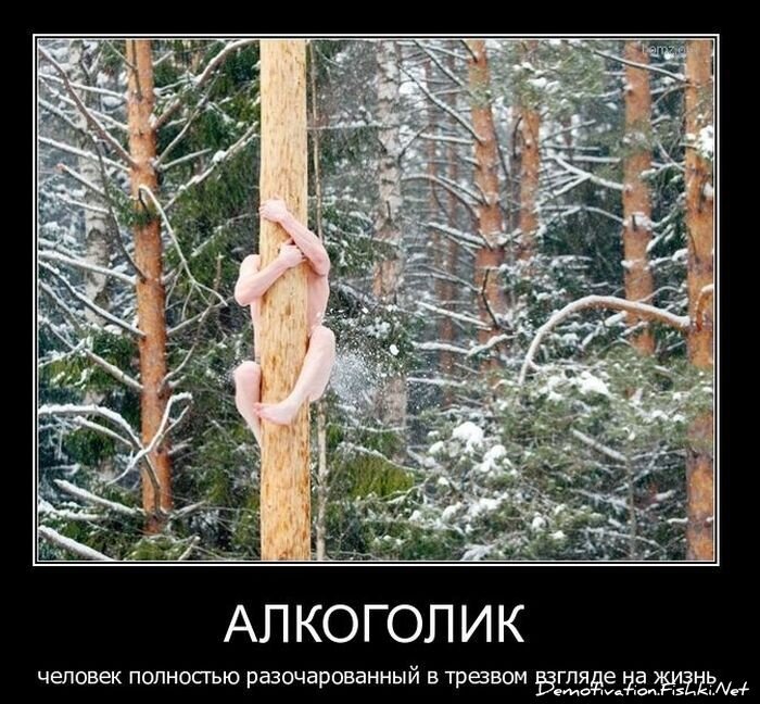 Смешной демотиватор от zubrilov за 02.02.2011 №67157