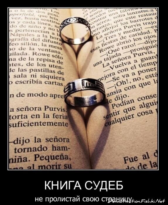 Смешной демотиватор от zubrilov за 02.02.2011 №67161