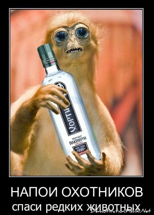 Смешной демотиватор от zubrilov за 02.02.2011 №67162