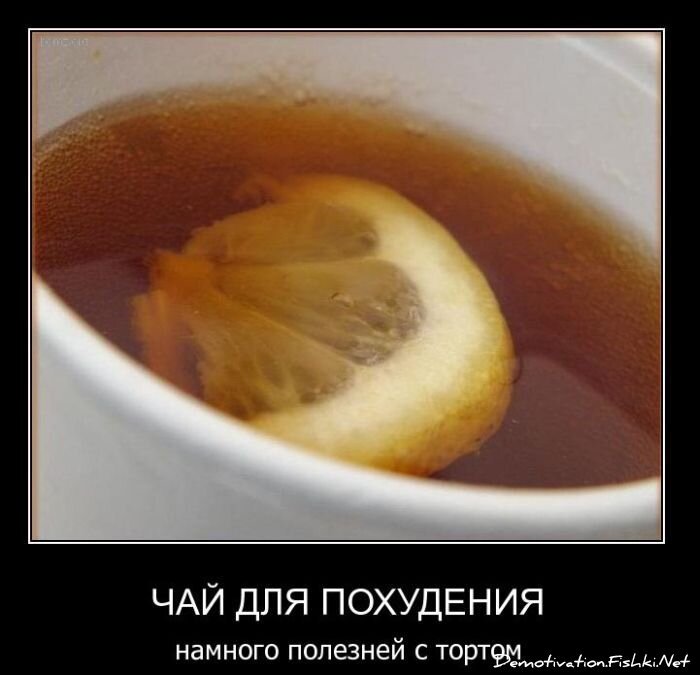 Смешной демотиватор от zubrilov за 02.02.2011 №67173