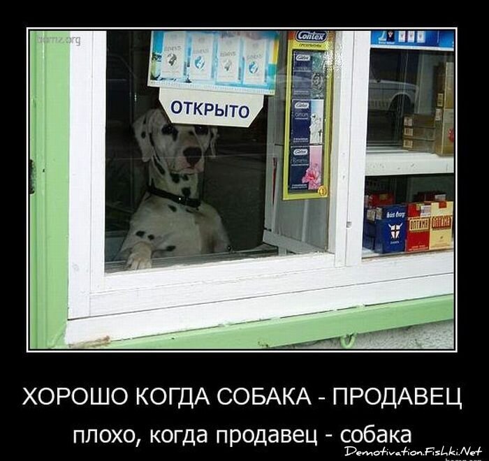 Смешной демотиватор от zubrilov за 02.02.2011 №67175