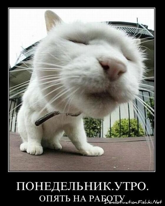 Смешной демотиватор от zubrilov за 02.02.2011 №67185