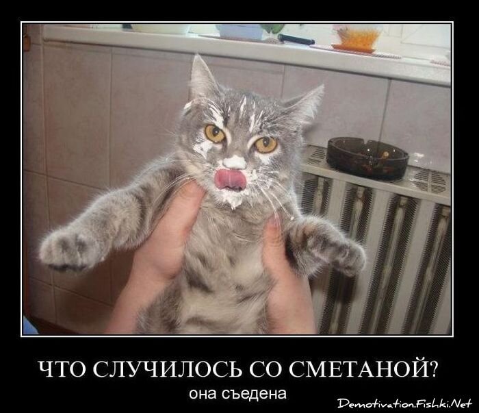 Смешной демотиватор от zubrilov за 02.02.2011 №67187