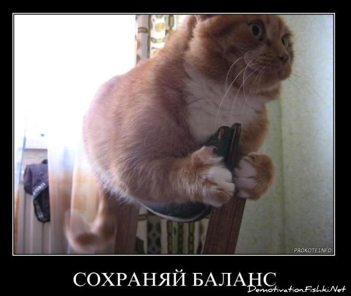 Смешной демотиватор от zubrilov за 02.02.2011 №67189