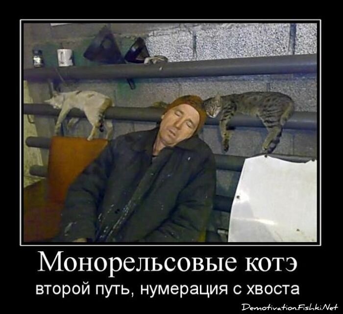 Смешной демотиватор от zubrilov за 02.02.2011 №67195