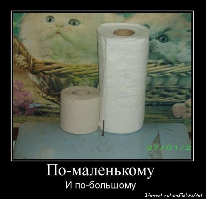 Смешной демотиватор от zubrilov за 02.02.2011 №67199